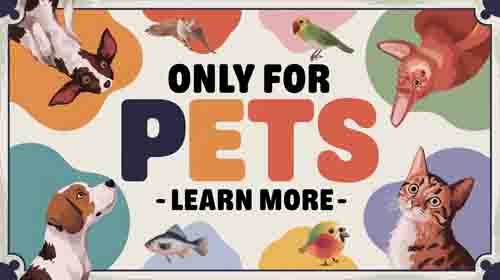Only For Pets-Professional Pet Training Tips