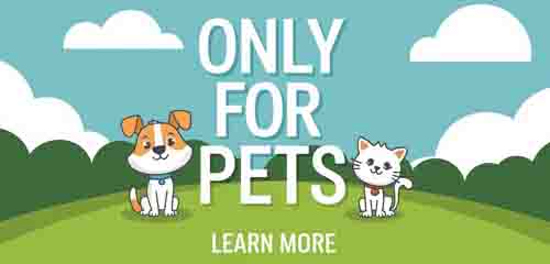 Only For Pets-Puppy Training 101