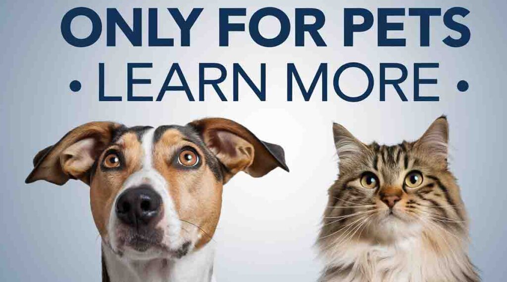 Only For Pets-Senior Pet Care Secrets