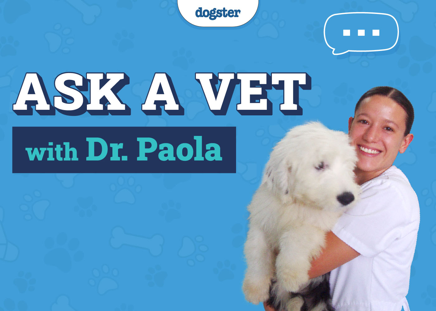 Dog Health Ask Dr. Paola: TV, Thyroid, and Reflections