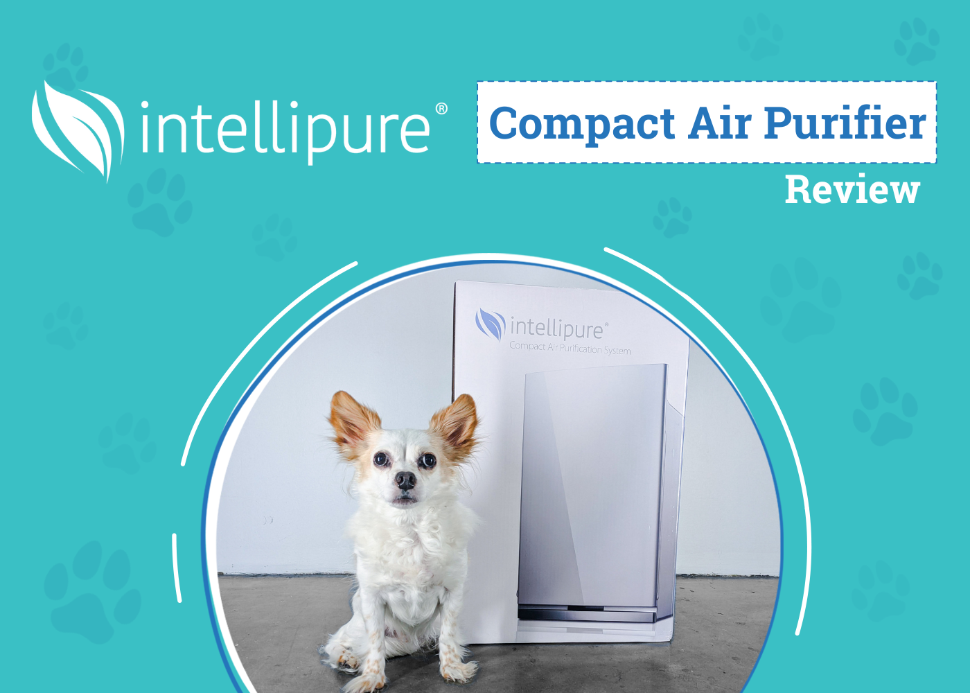 Intellipure Compact Air Purifier Review: Clean Air, Small Space