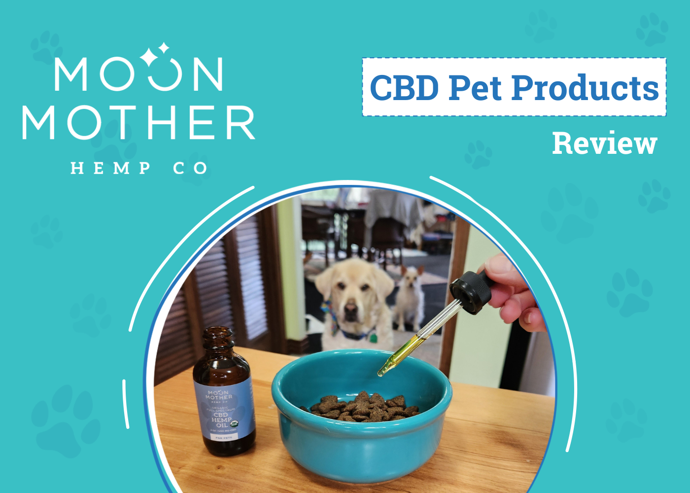Moon Mother CBD: Top-Rated Pet & Human Wellness Products