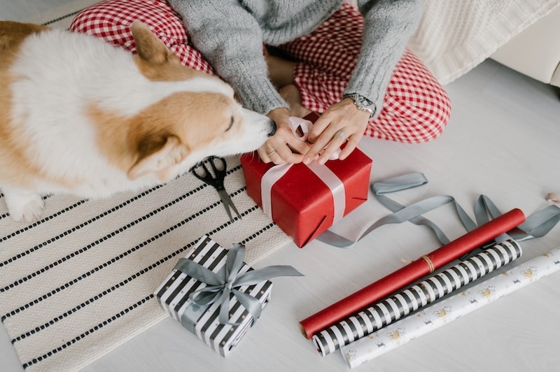 Top Mother's Day Gifts for Dog Moms in 2025