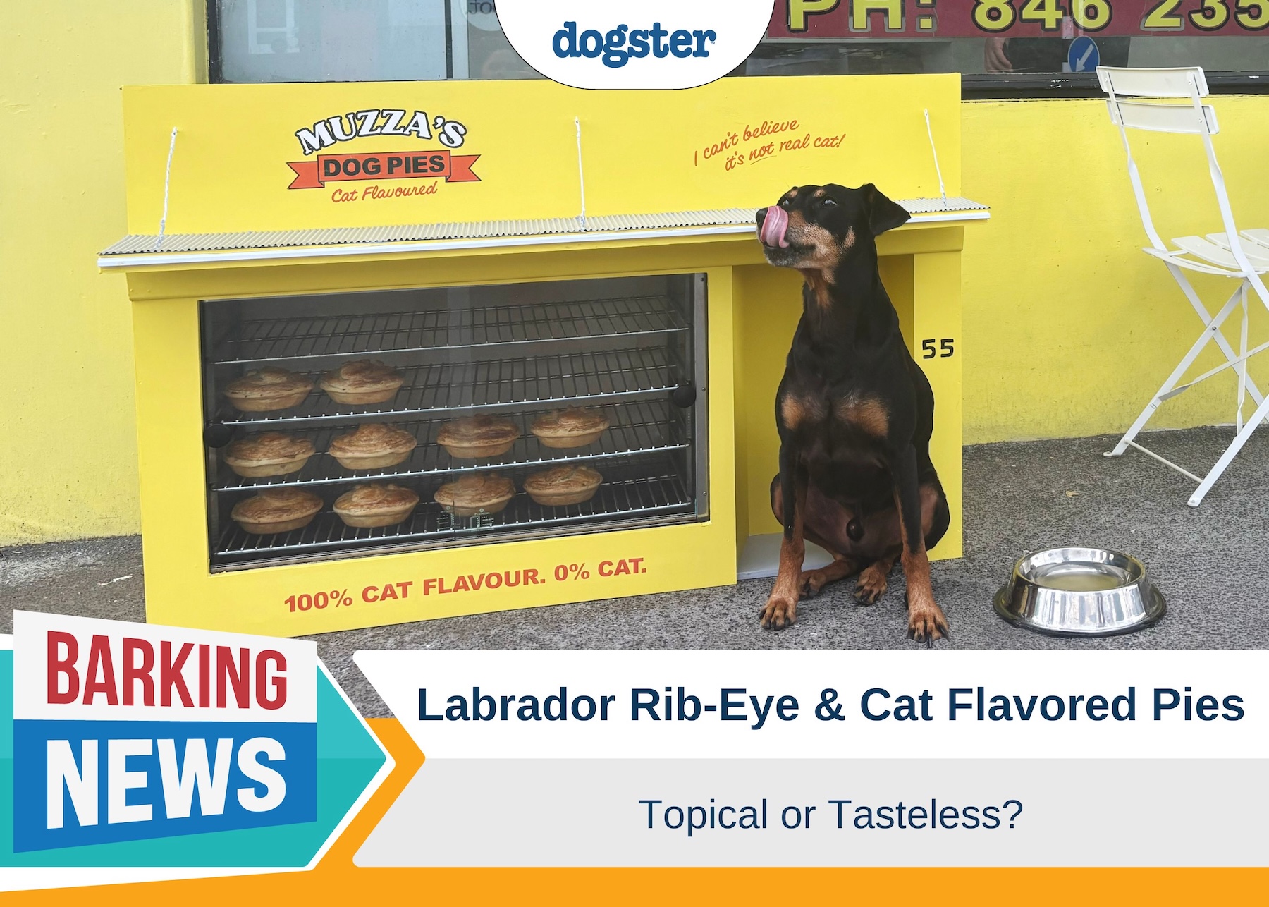Dog and Cat Pies: Funny Marketing or Bad Taste?