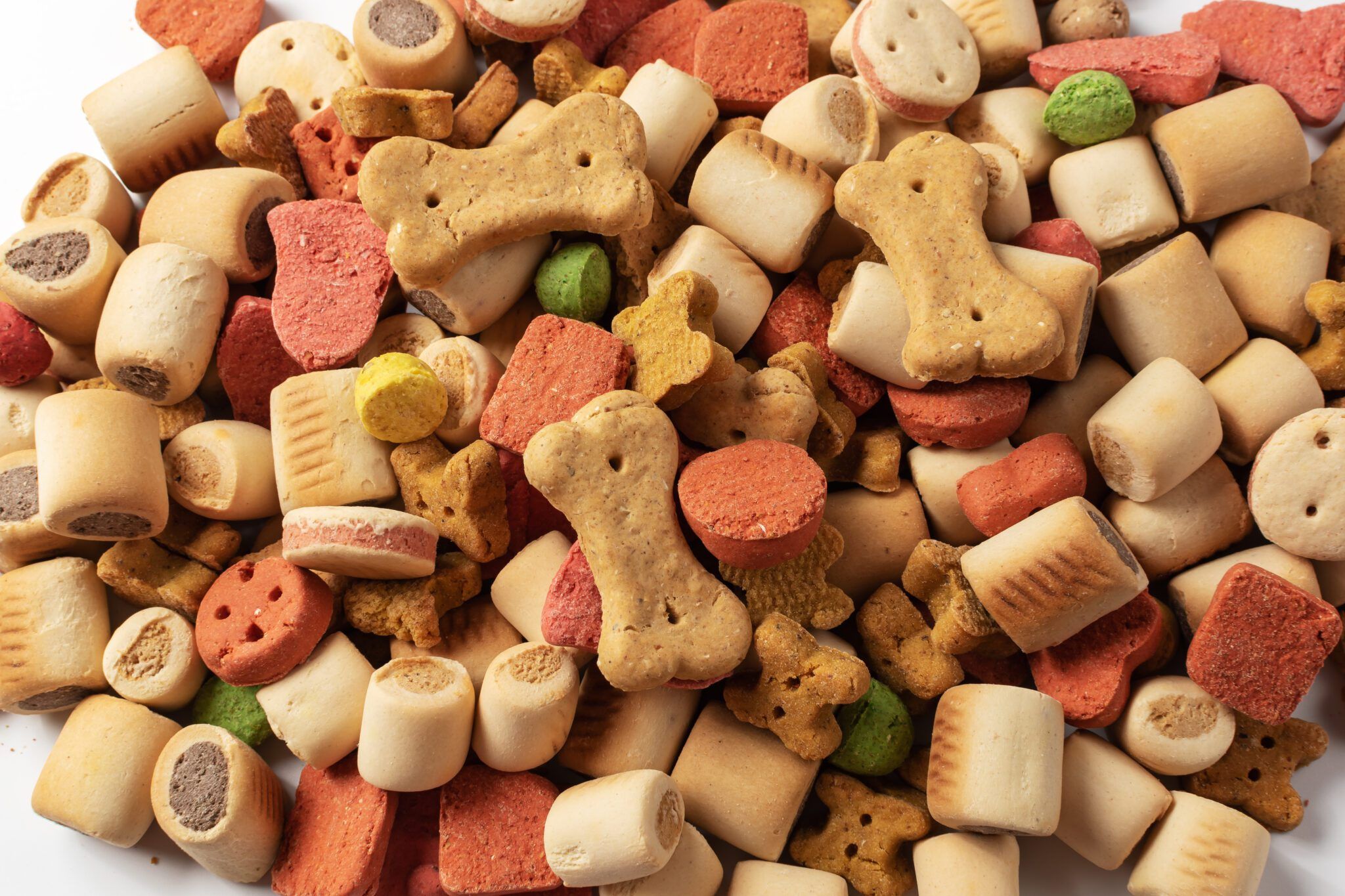 Dog Treats: The Ultimate Guide to Healthy Snacking