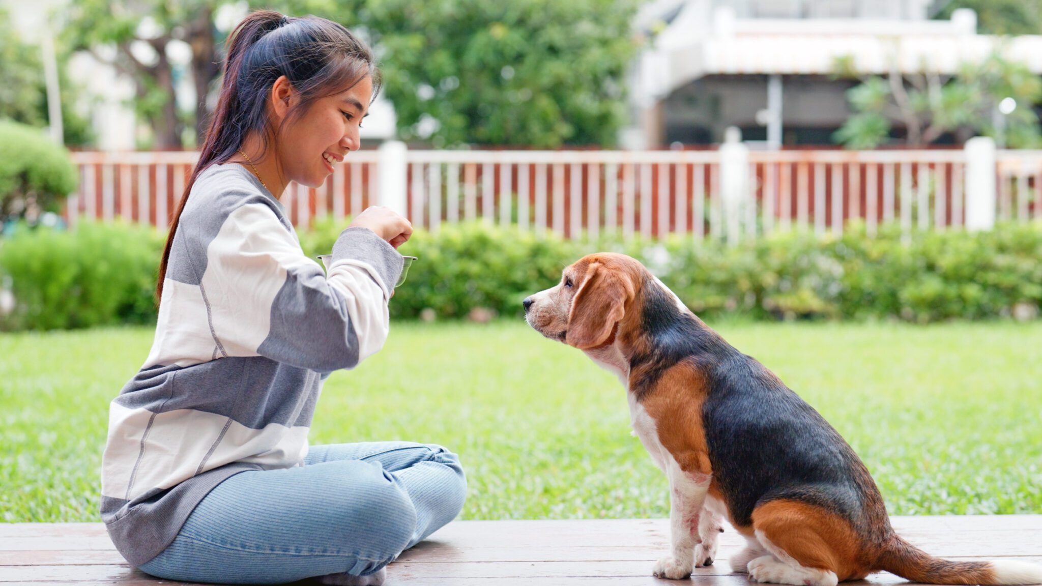 5 Golden Rules for Dog Training Success