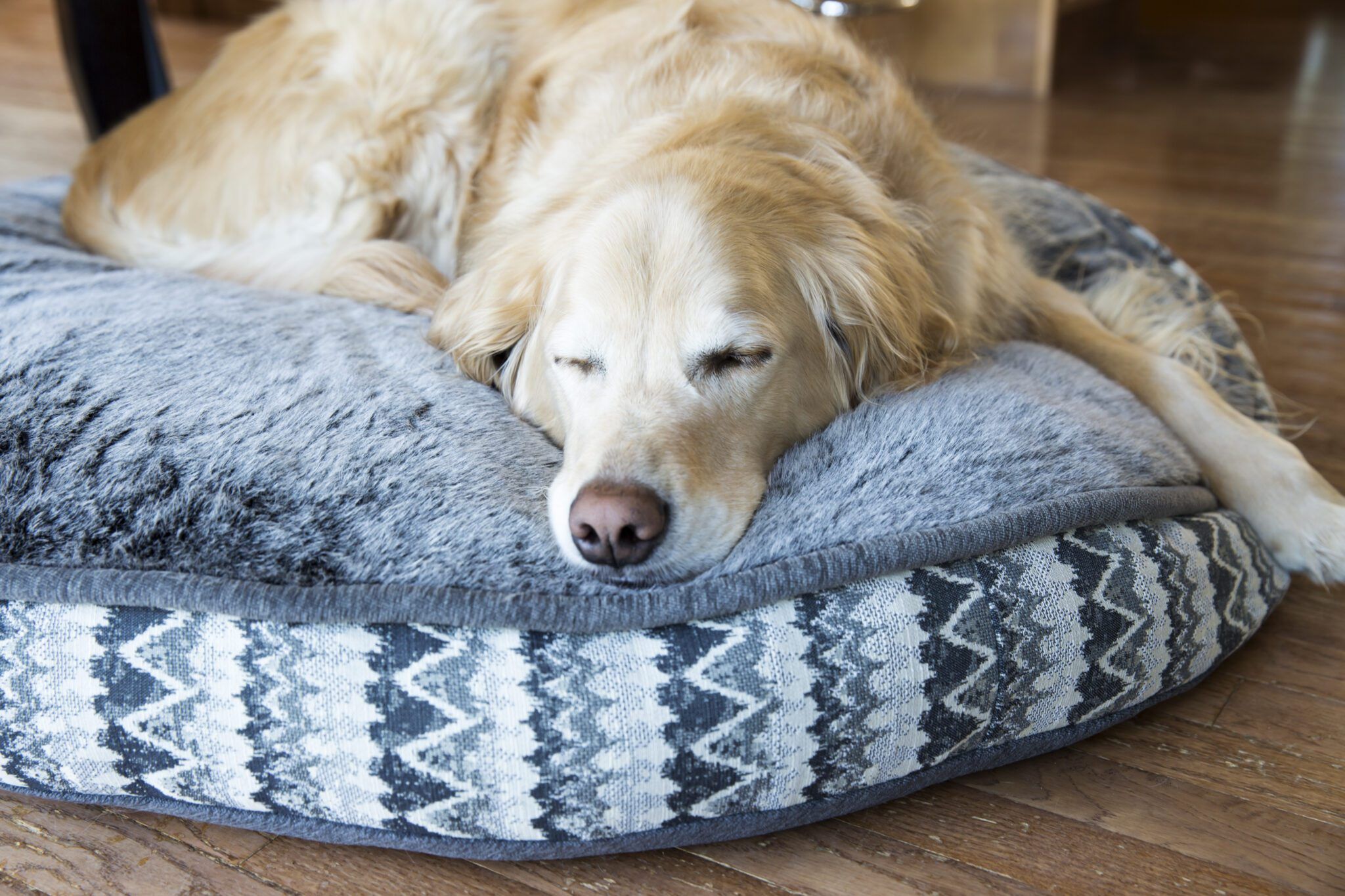 Deep Clean Dog Beds: Ultimate Guide to Washing & Stain Removal