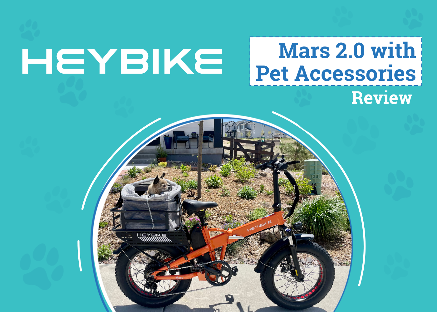 Heybike Mars 2.0 Review: E-bike Adventures with Your Dog