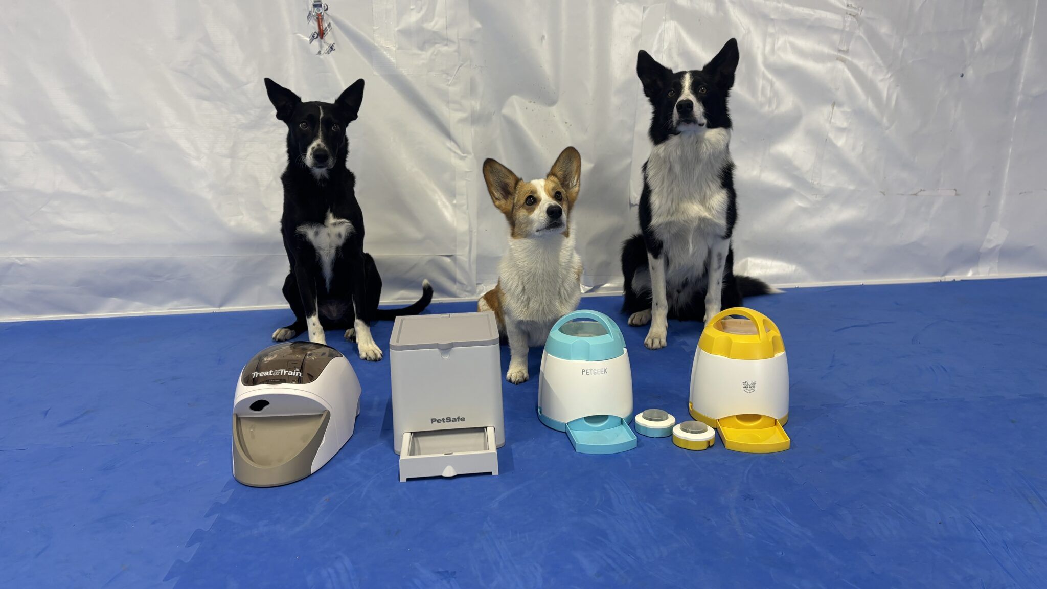 Best Remote Dog Treat Dispensers for Training
