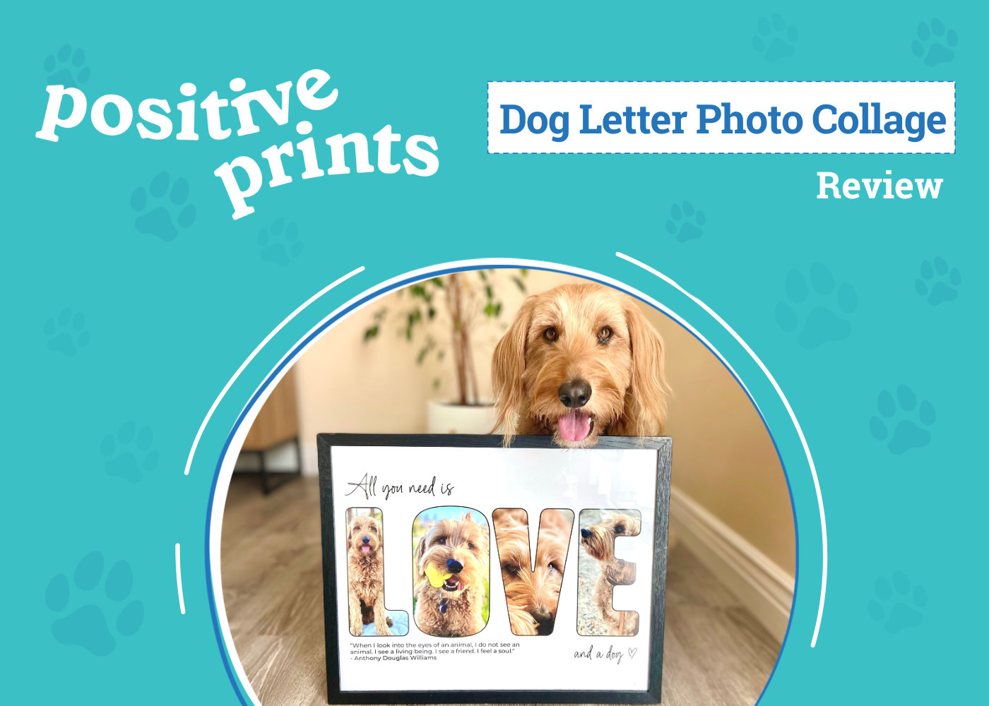 Custom Pet Photo Collages: Positive Prints Review