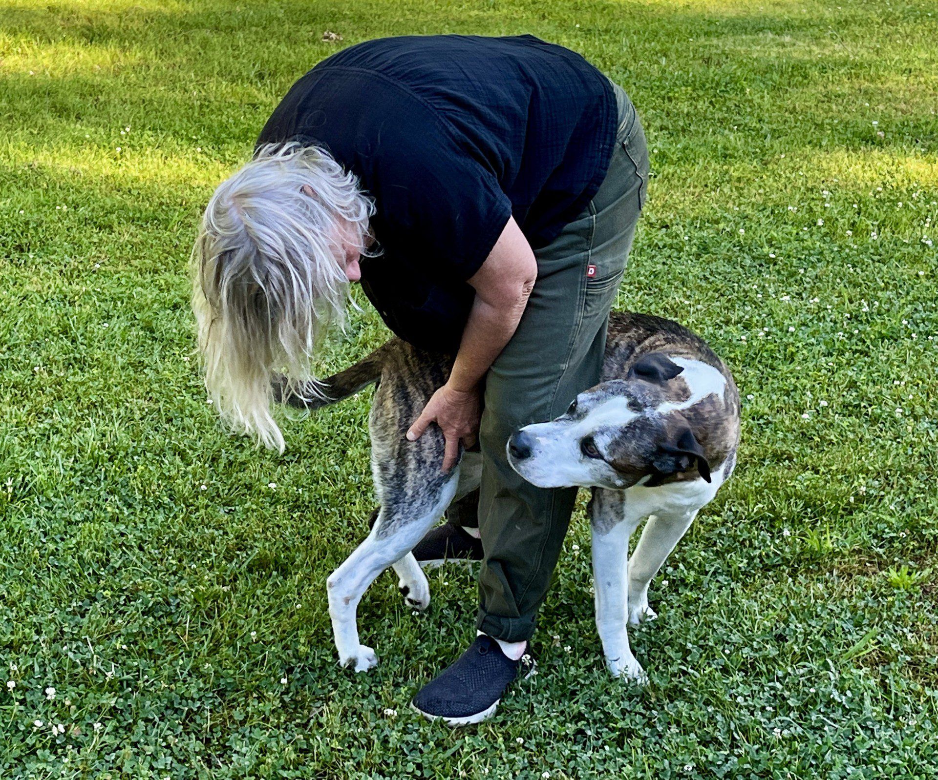 Dog Peeves: What Annoyances Do Dogs Cause Owners?