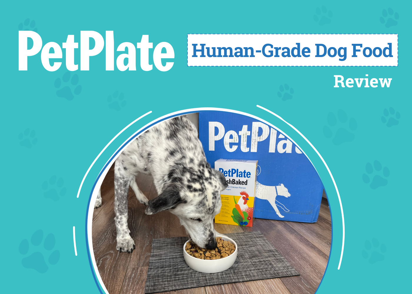 PetPlate Dog Food Review: Fresh, Convenient, & Healthy?