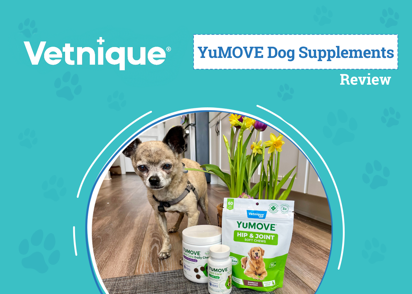 Vetnique YuMOVE Review: Best Joint Supplement for Dogs?