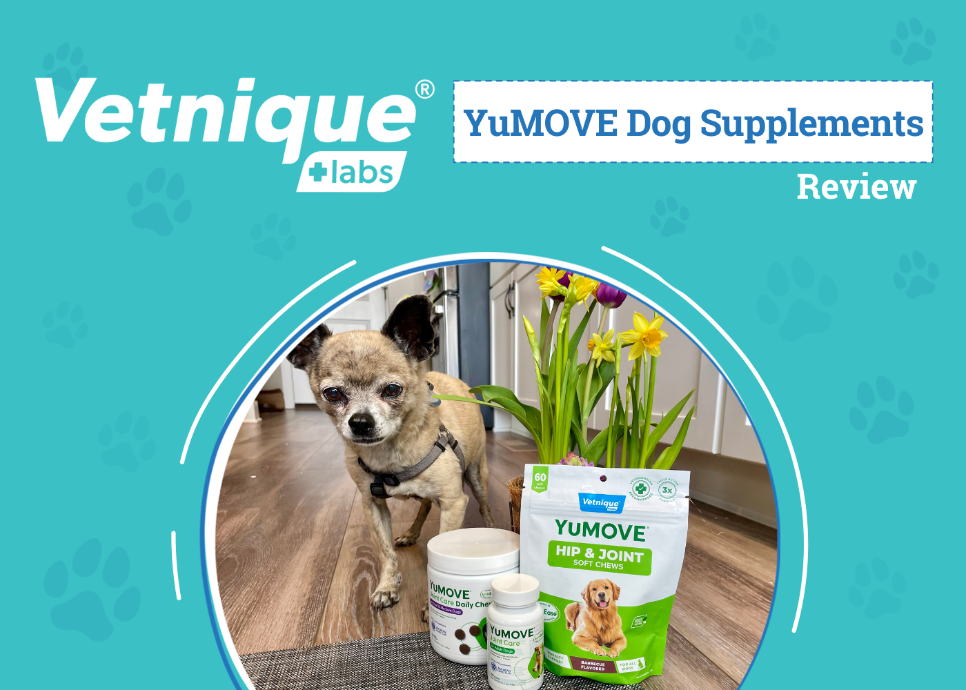 YuMOVE Dog Joint Supplements Review: Vetnique's Powerful Formula