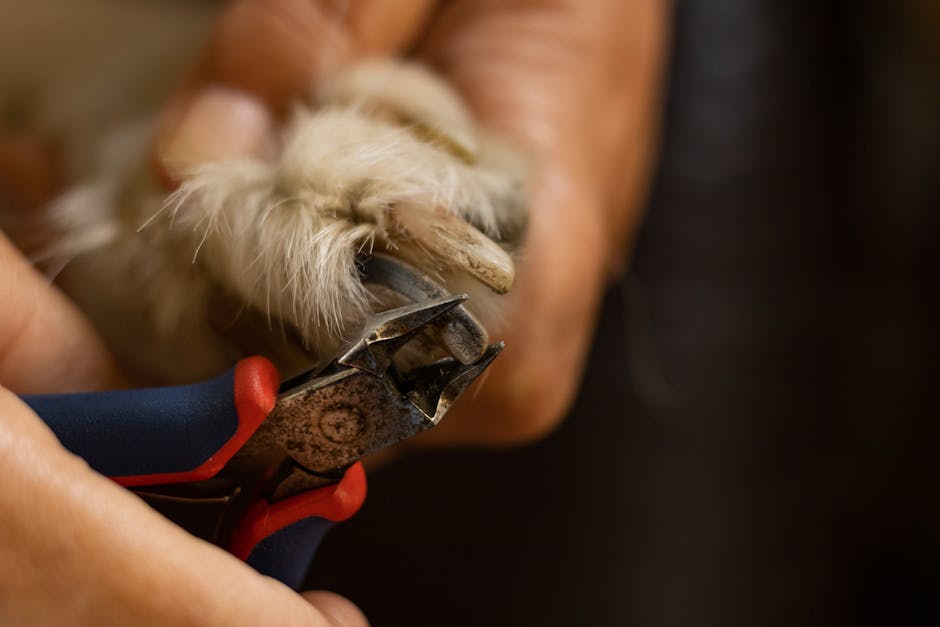 Dog Health Ask Dr. Paola: Nail Clippers, Territorial Bites & Malnutrition
