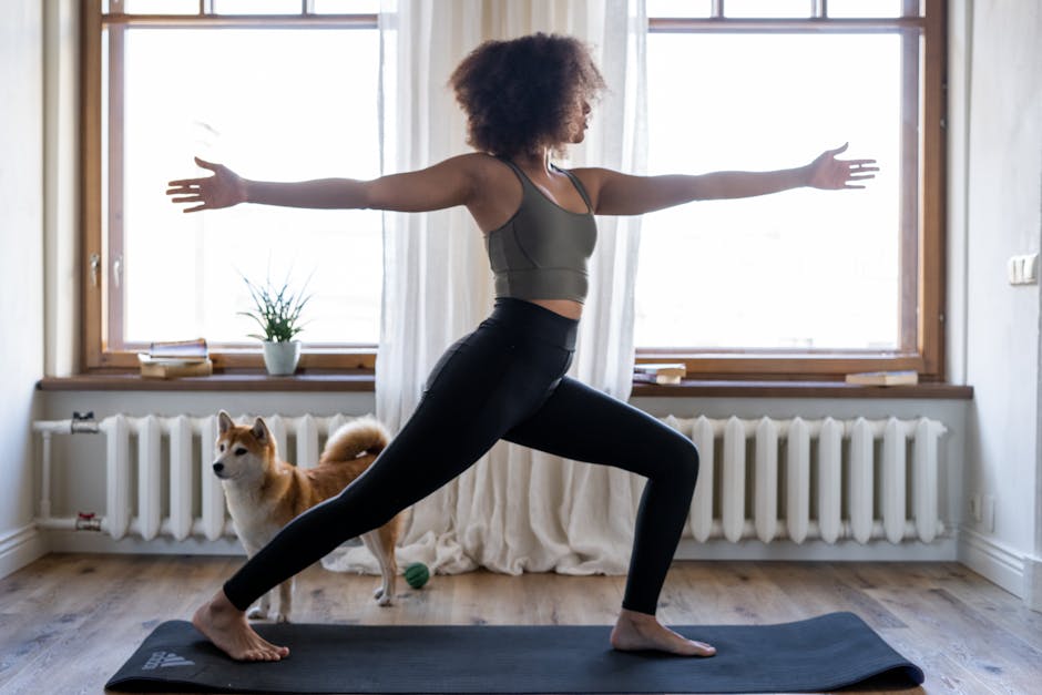 Dog Routine: Structure, Stability & Happiness
