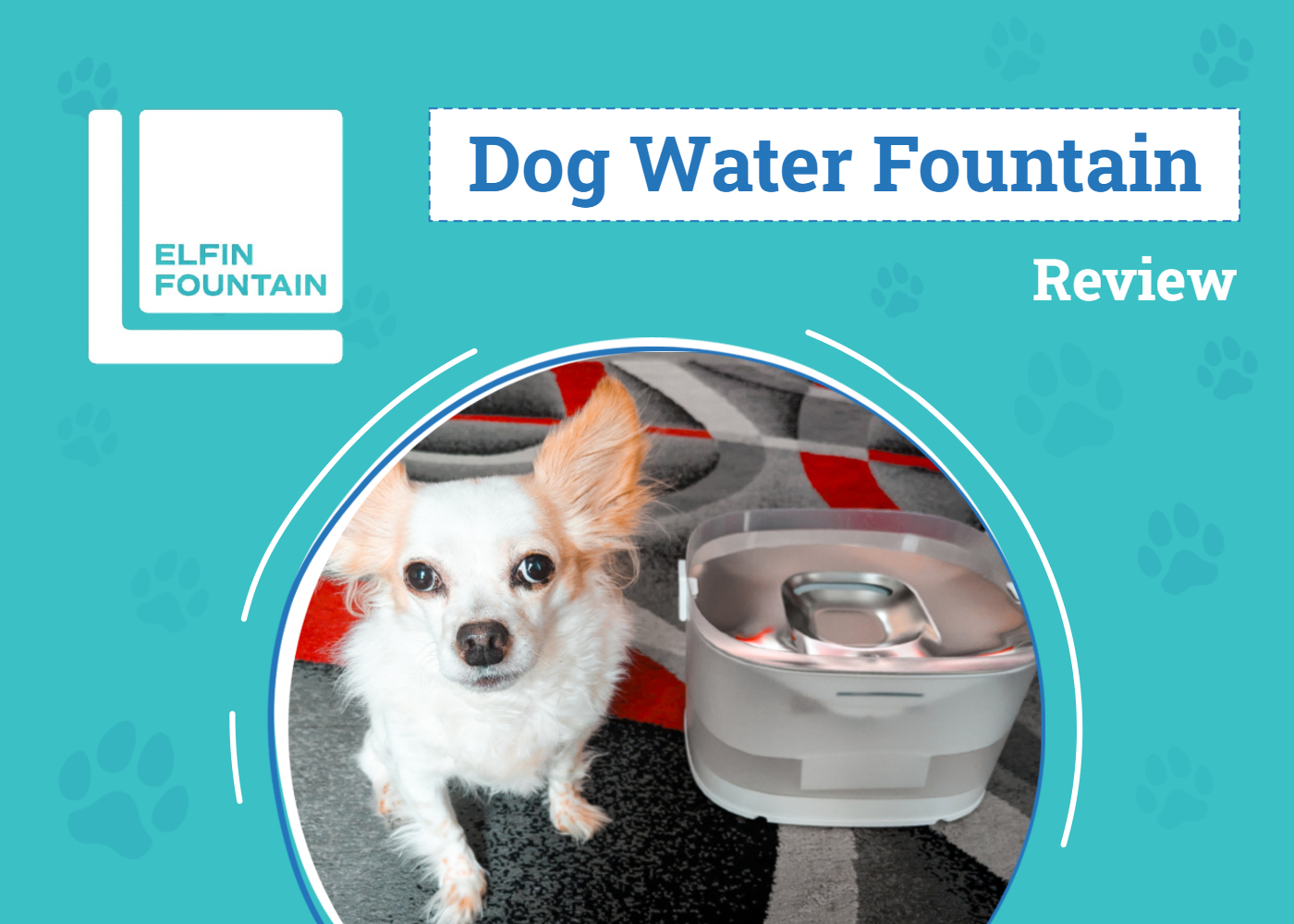Elfin Fountain D1 Pro: Best Pet Hydration Solution?