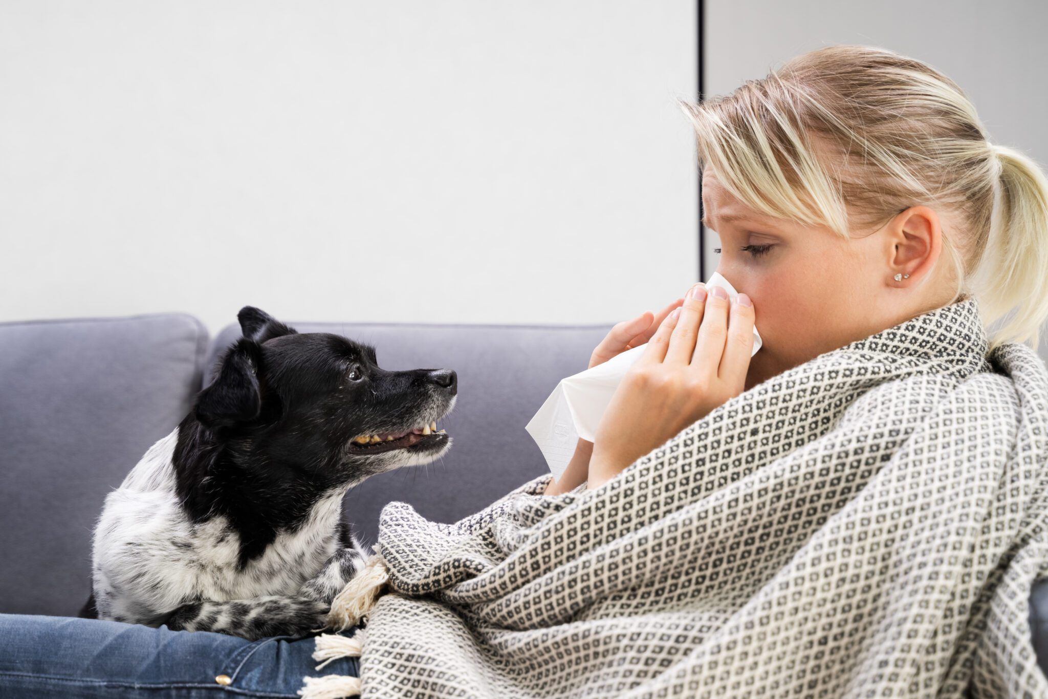 Can Dogs Catch Illnesses From Humans? Zoonotic Disease Risk
