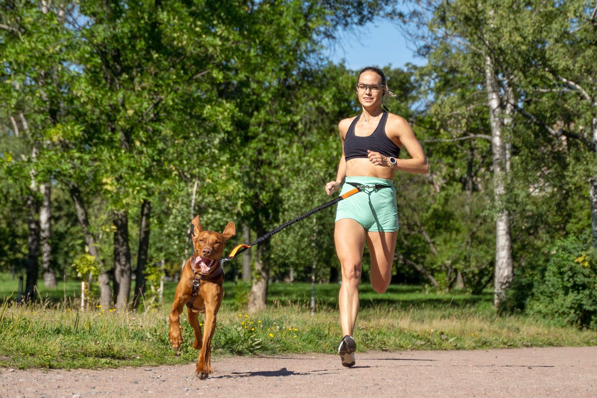 Run With Your Dog: Benefits, Risks & Tips