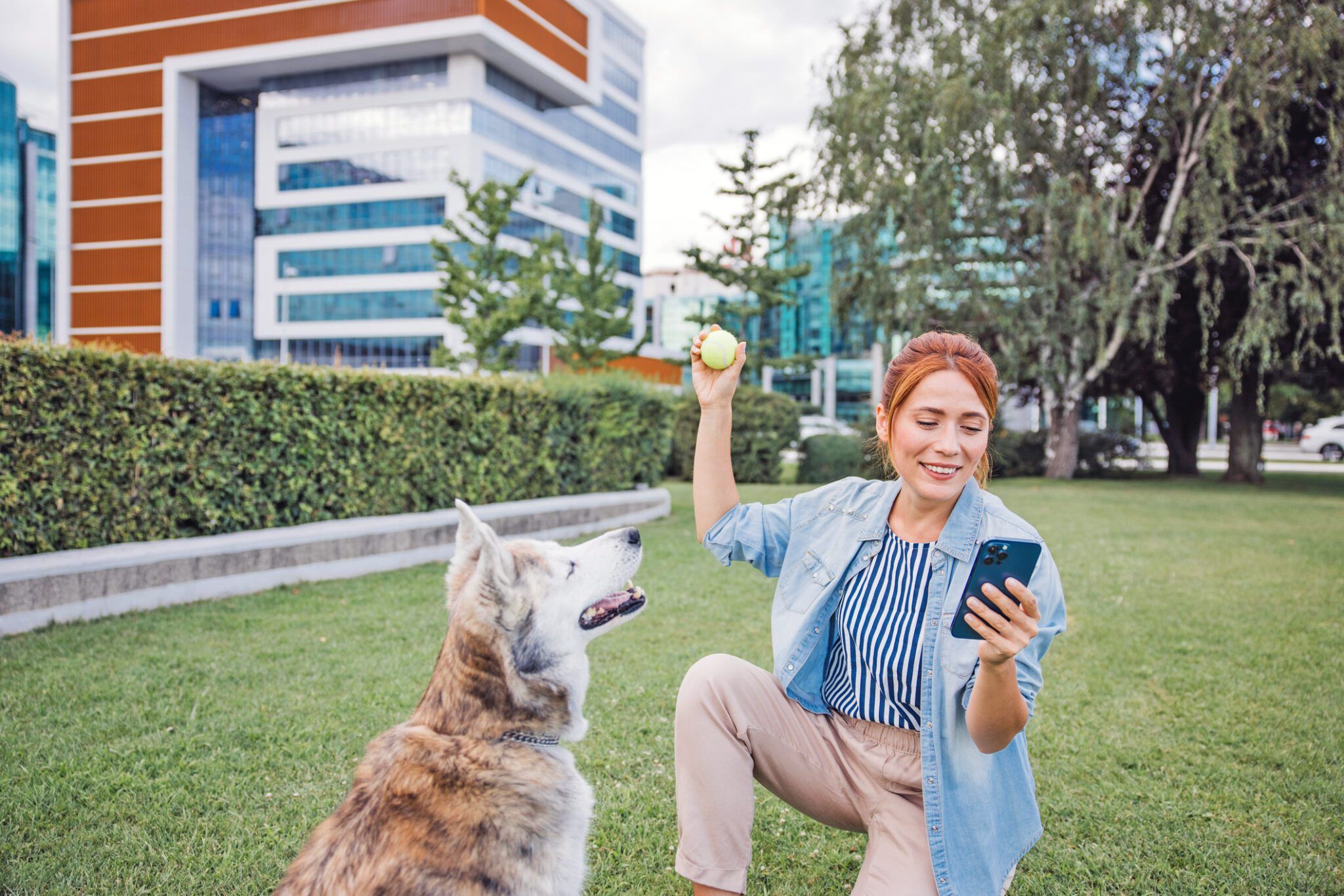 Top Free Dog Training Apps: A Comprehensive Guide