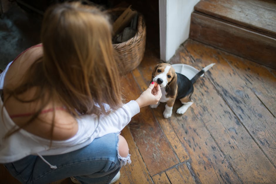 Puppy Training: Start Early for a Well-Behaved Dog