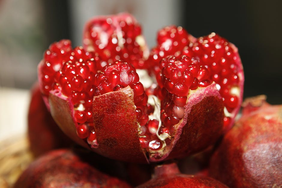 Raw Dog Food Diets: Benefits, Risks & Safety