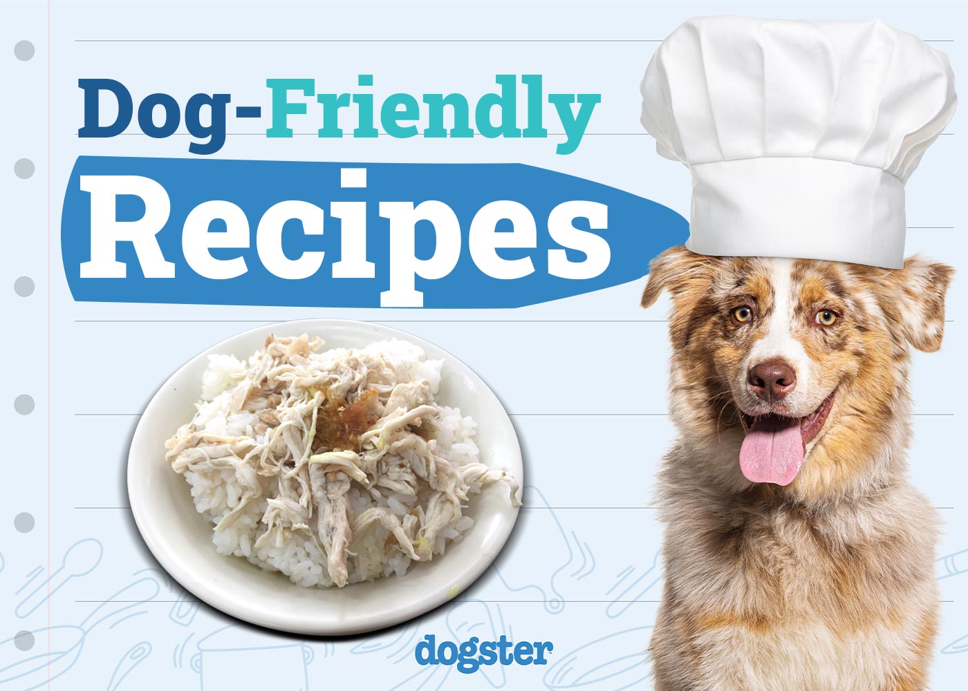 5 Homemade Dog Recipes: Tasty & Healthy Treats