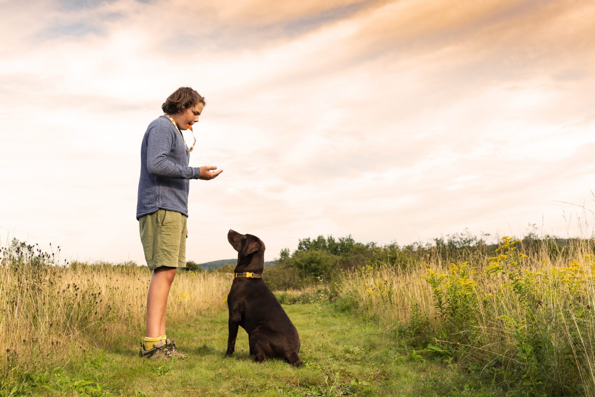 Dog Whistle Training: A Step-by-Step Guide