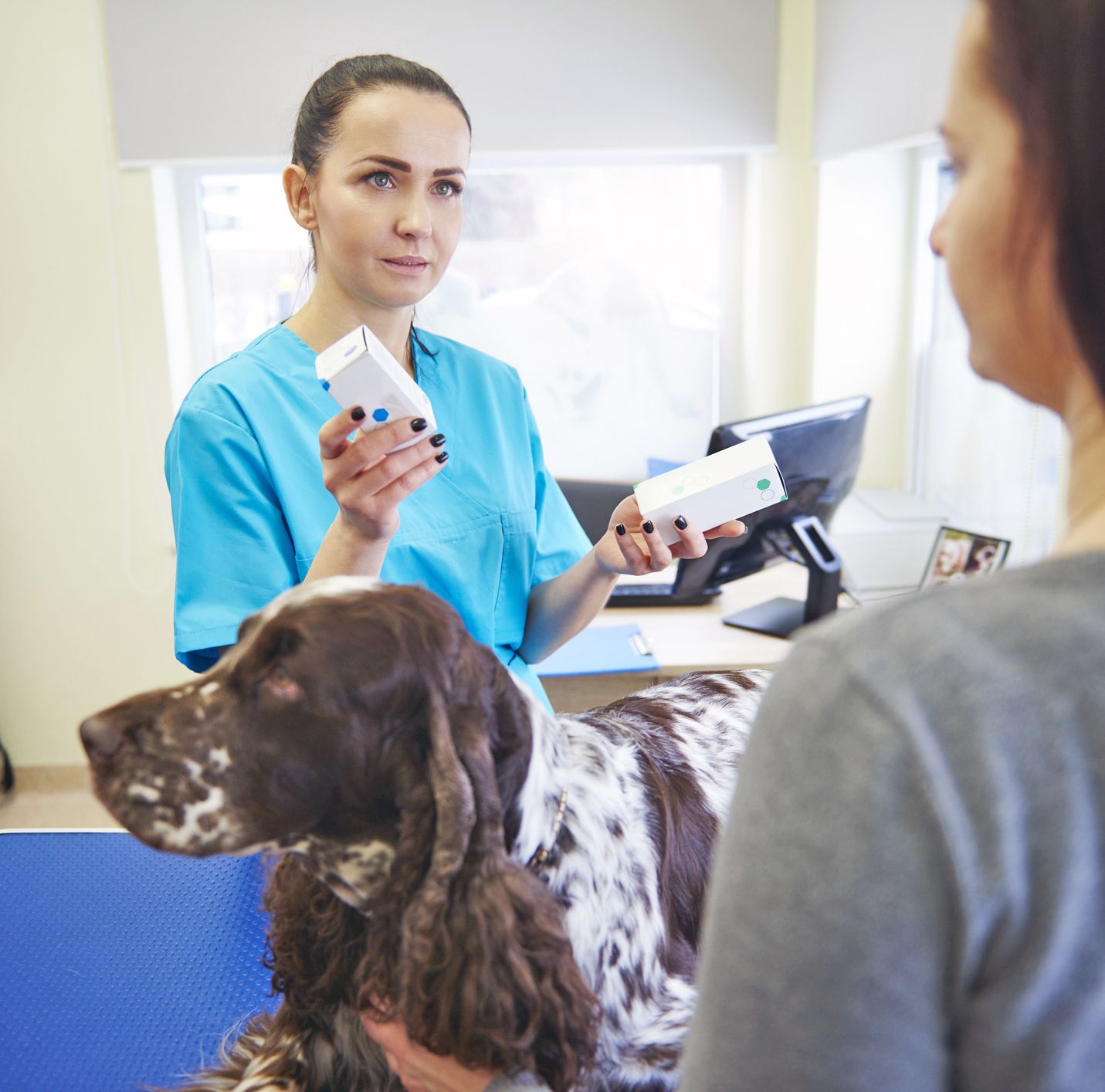 Metronidazole for Dogs: Uses, Dosage, and Side Effects