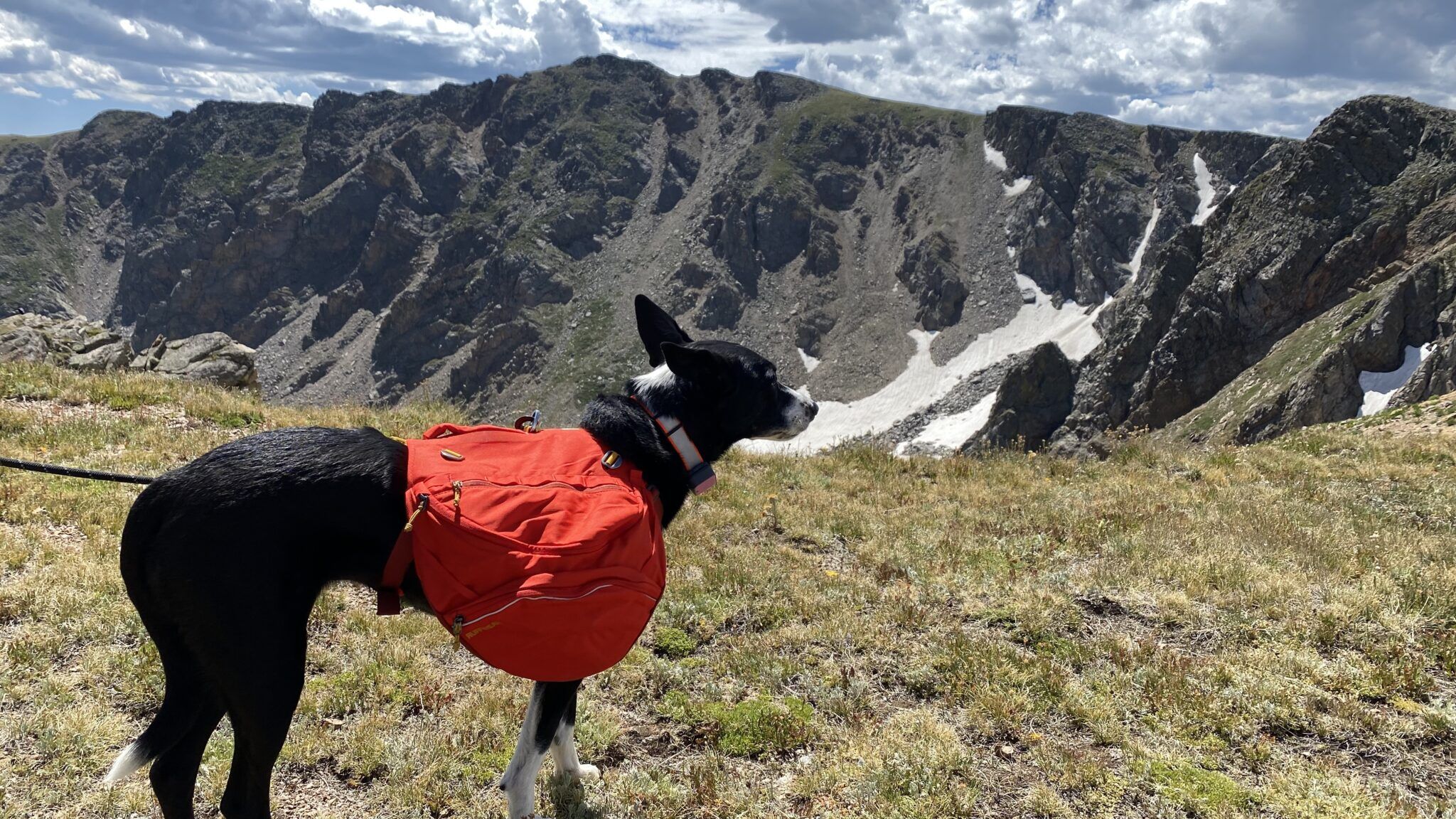 Top 5 Dog Backpacks for Hiking Adventures