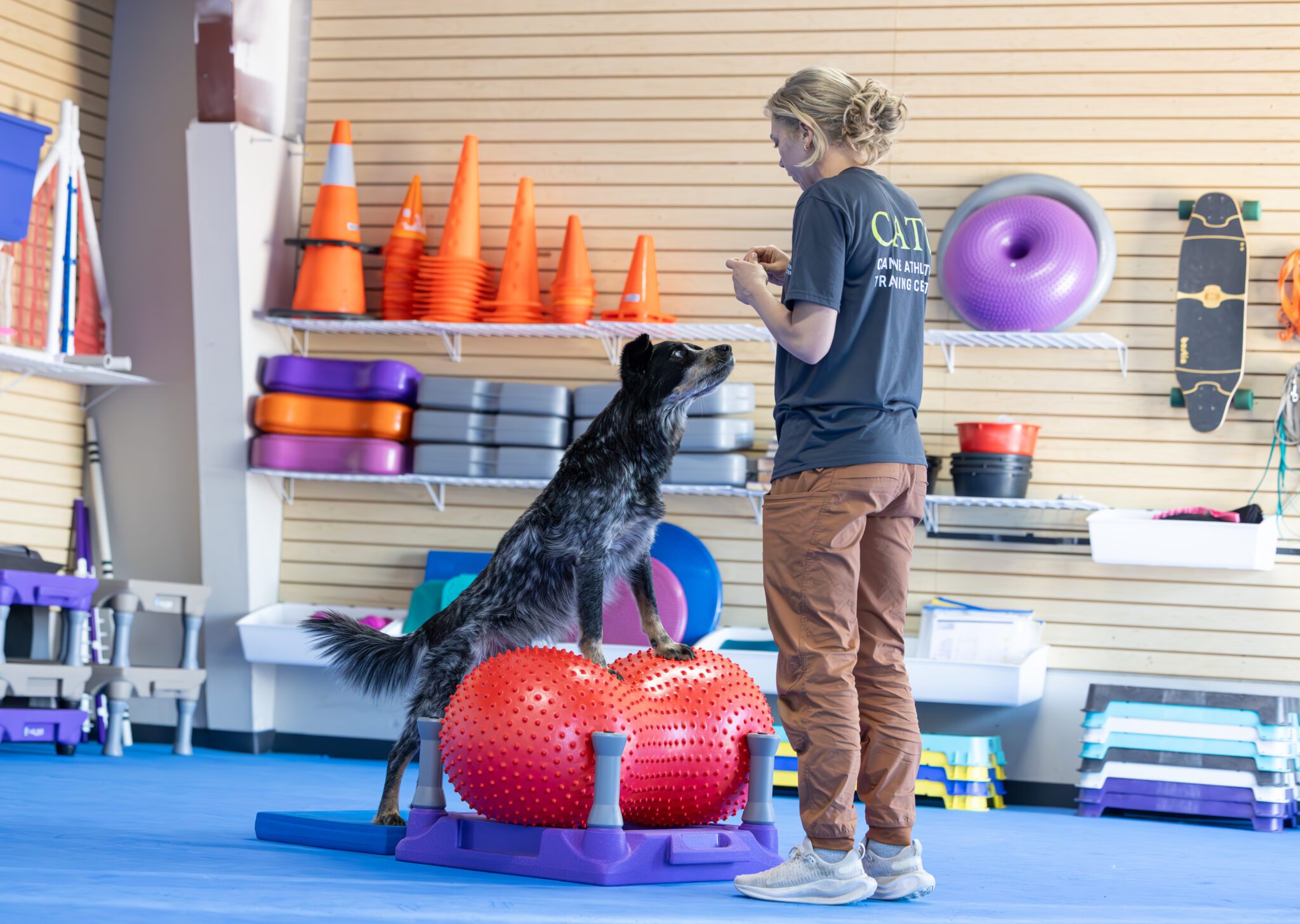 Dog Exercise: Benefits, Routine & Healthy Habits