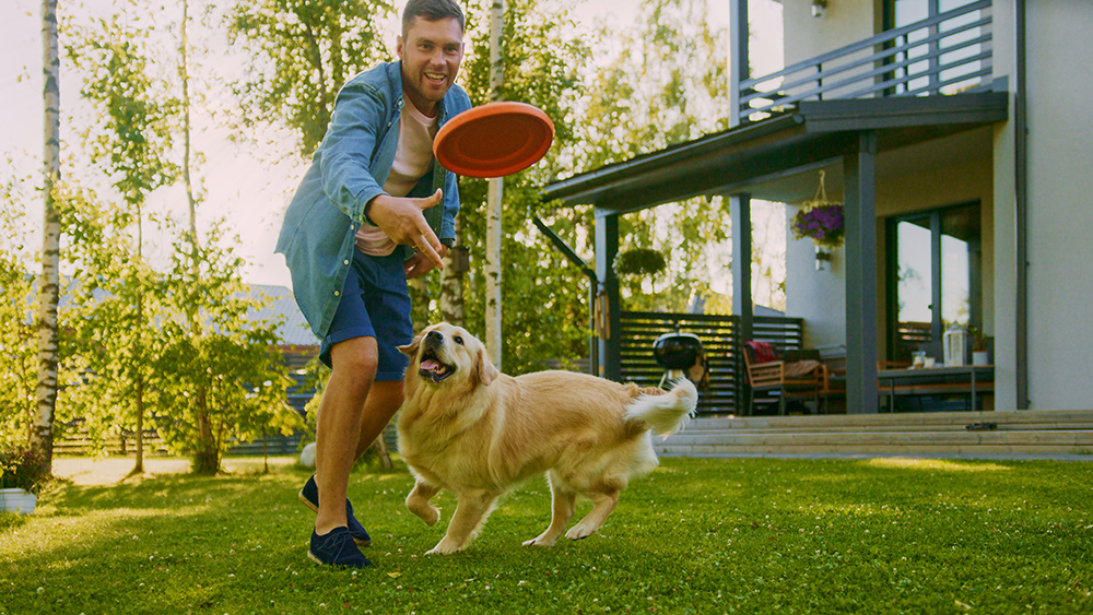 13 Fun Outdoor Games to Play with Your Dog This Summer