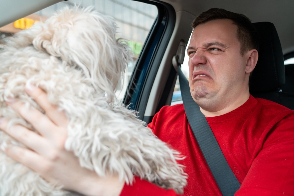 Dog Breath Stink? 15 Vet-Approved Fixes for Fresher Kisses