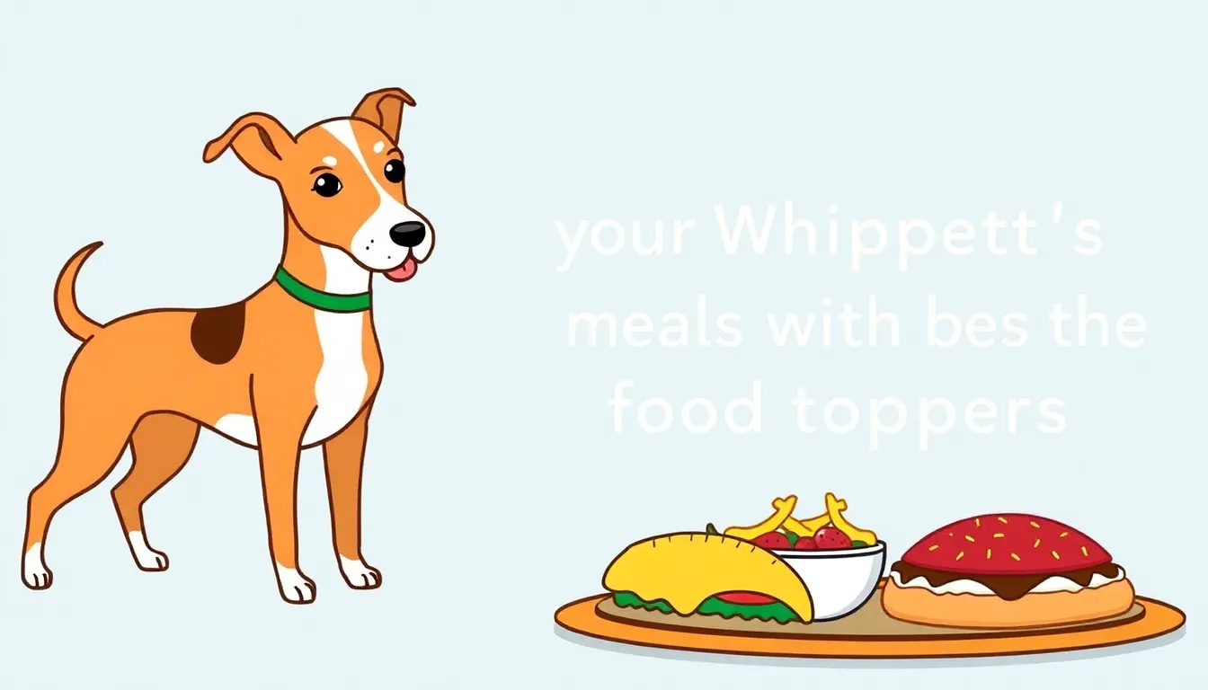 ENHANCE YOUR WHIPPET'S MEALS WITH THE BEST FOOD TOPPERS