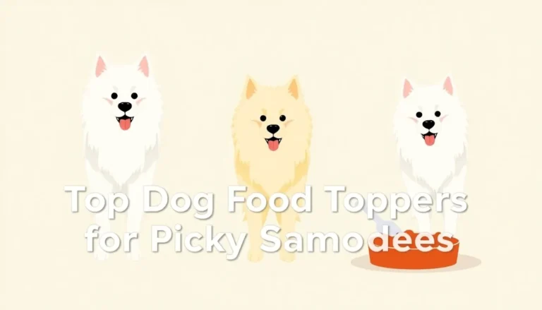 TOP DOG FOOD TOPPERS FOR PICKY SAMOYEDS